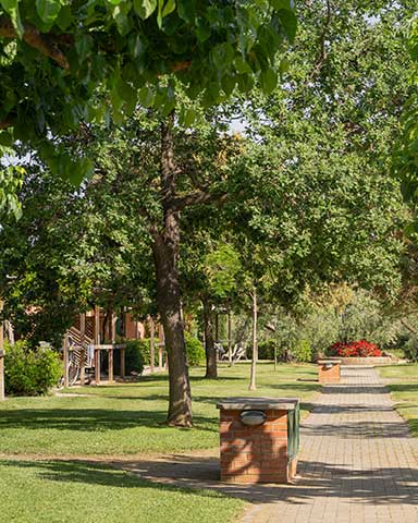 Viale di accesso pianeggiante ai Bungalow del Pappasole Camping Village