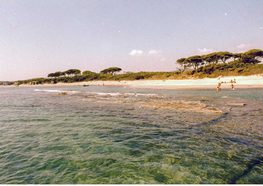 La spiaggia del Pappasole Camping Village
