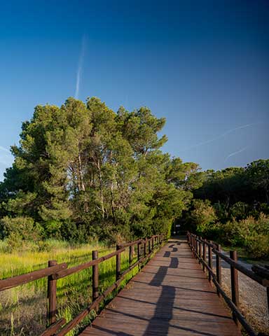 Passerella accessibile per la spiaggia attrezzata del Pappasole Camping Village
